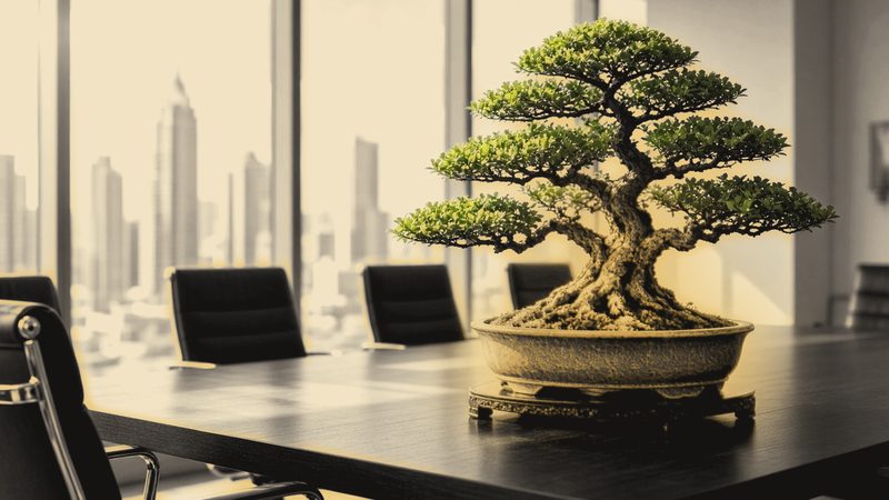 A bonsai on a boardroom table, the city skyline beyond the windows